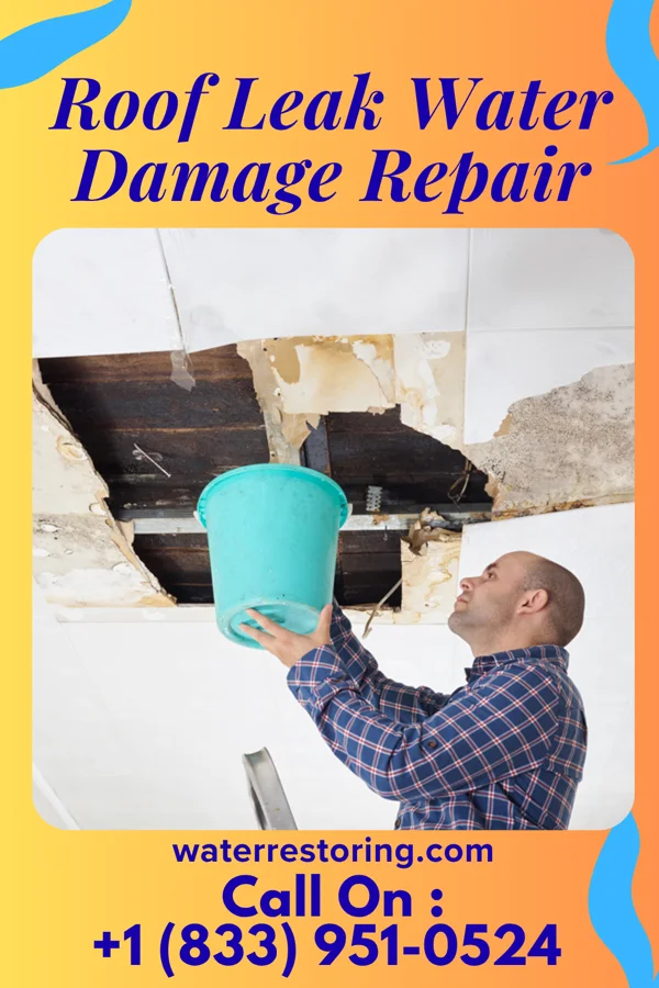 Roof Leak Water Damage Repair in Rothsville, PA