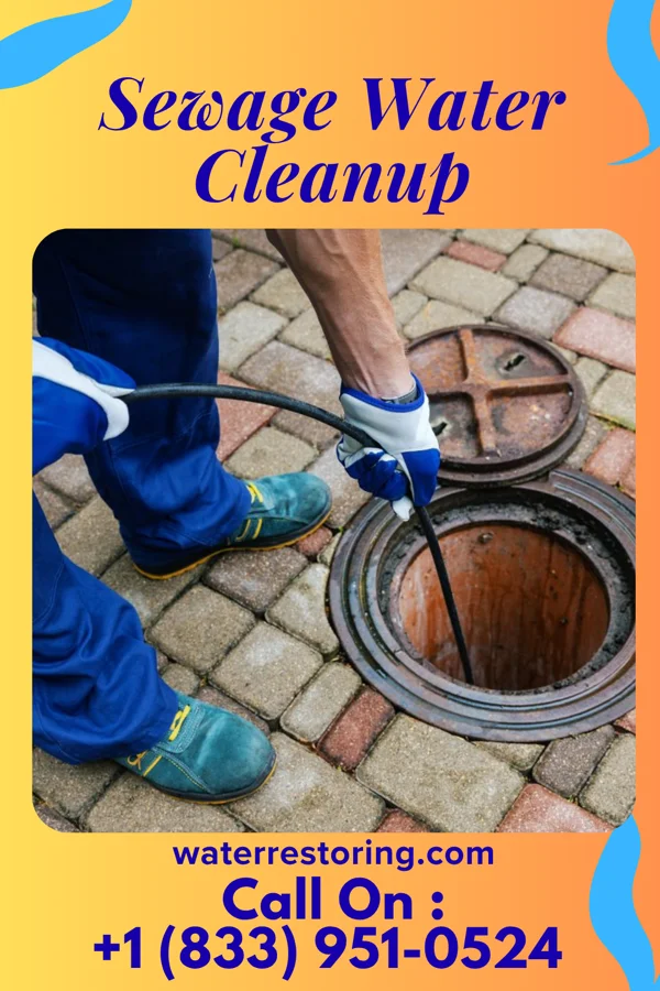 Sewage Water Cleanup in Rothsville, PA