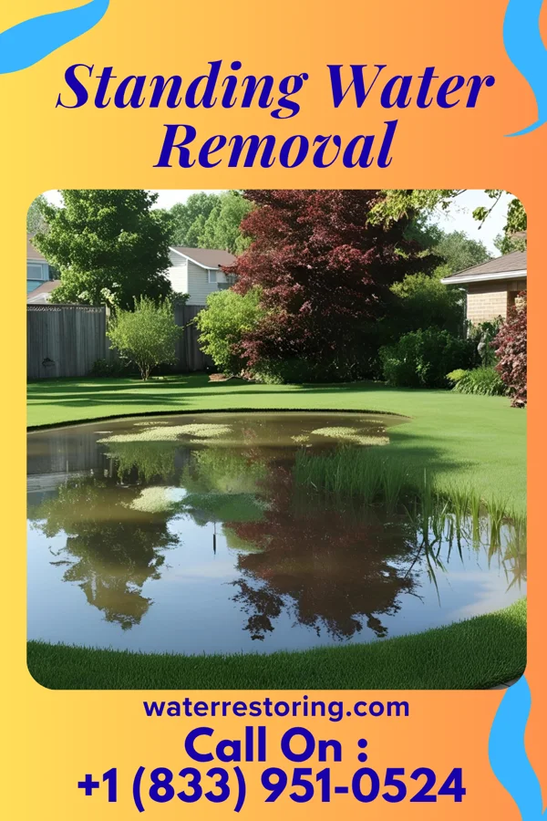 Standing Water Removal in Rothsville, PA